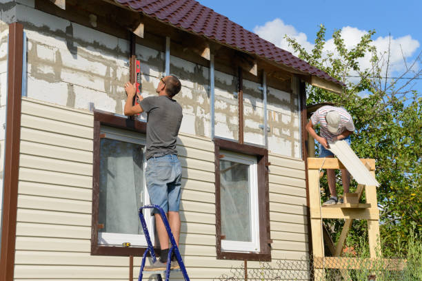 Best Custom Siding Design  in Alamae, NC